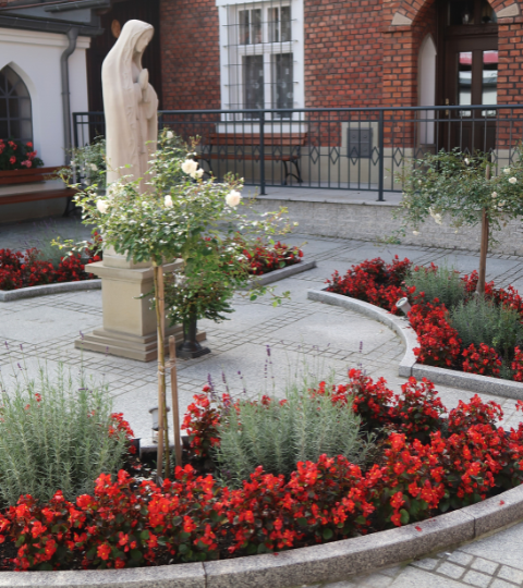 roślinność w układzie urbanistycznym